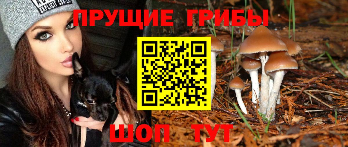 Симферополь  Галлюциногенные грибы мицелий  Псилоцибиновые грибы Psilocybe  Вход с VPN 